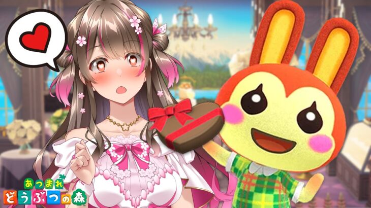 【あつ森】バレンタインだ！住民にチョコを渡して今日だけの会話を楽しみたい【あつまれどうぶつの森】