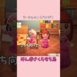 【あつ森】可愛いためこと写真が撮りたい！ツーショットリベンジの結果は…？