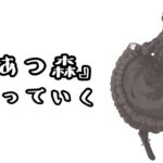 【山びこ】あつ森なの【あつまれどうぶつの森】