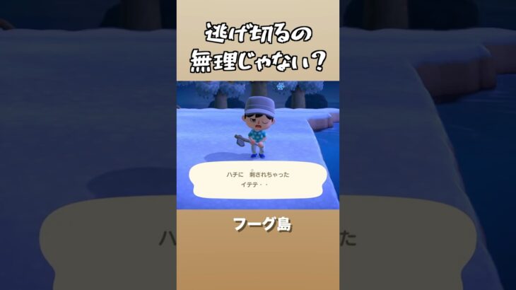 初めての蜂。　#あつ森 　#あつまれどうぶつの森