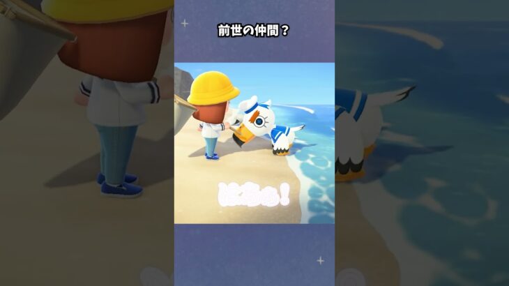 【あつ森】まさかジョニーの仲間説…！？ #あつ森  #あつまれどうぶつの森  #女性ゲーム実況