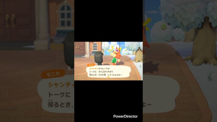 【忘れ物】 #あつ森 #あつまれどうぶつの森