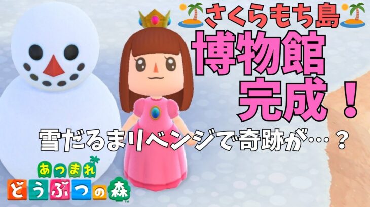 【あつ森】博物館は豪邸みたいでびっくり！そして雪だるまリベンジで奇跡が…！？
