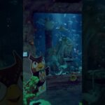 【期間限定コラボ】あつ森の世界に入り込んだみたい…｜名古屋シーライフ水族館