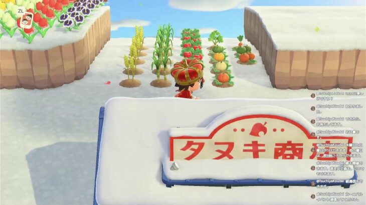 あつ森配信！昨日はありがとうございました。