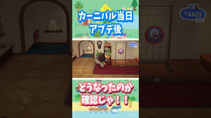 【あつ森】今年のカーニバルは ひと味違うぞ‼️