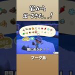 ムカデくん待ってくれ〜！　#あつ森 　#あつまれどうぶつの森