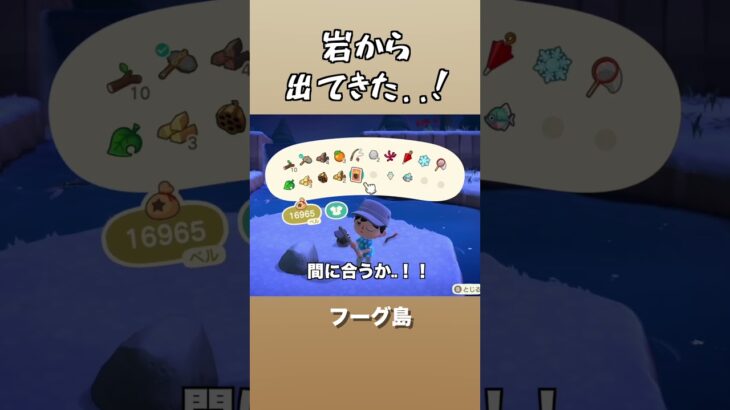 ムカデくん待ってくれ〜！　#あつ森 　#あつまれどうぶつの森