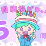 【あつ森】島開放眠らないささみ町