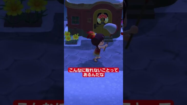 【あつ森】下手すぎたかもしれねえ【カーニバル】