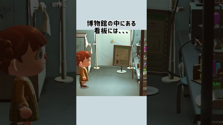 【あつ森】博物館の看板には…？