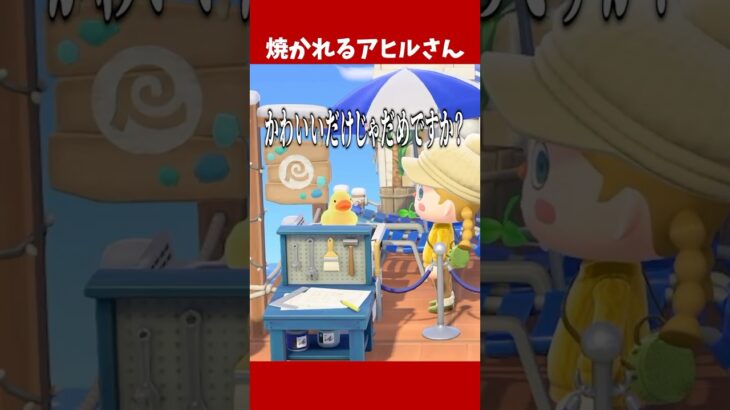 あつ森でギリギリ踏みとどまりました【あつ森アプデ】