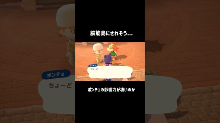 筋トレするか….🫠#あつ森 #あつまれどうぶつの森 #脳筋 #筋トレ #ポンチョ