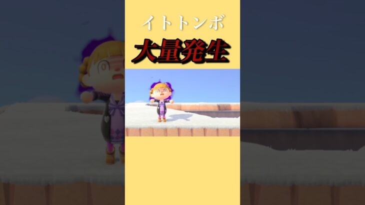 大量発生イトトンボがハートの滝に集まってる！？#あつ森#あつまれどうぶつの森 #ショート動画