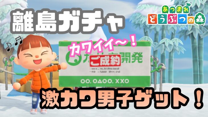 【あつ森】離島ガチャであのカワイイ男の子をスカウト！