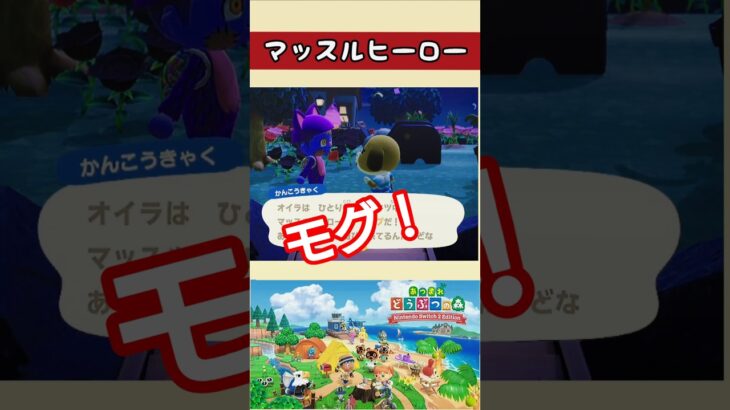 【#あつまれどうぶつの森 】チャンプ【#あつ森 】