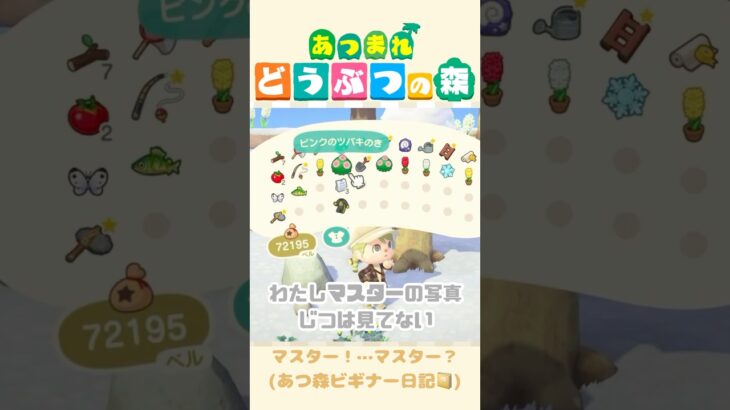 【あつ森】マスター！…マスター？？？#あつまれどうぶつの森