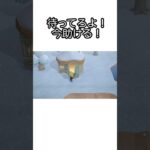 【あつ森】イケメンのお見舞いに行ったら…