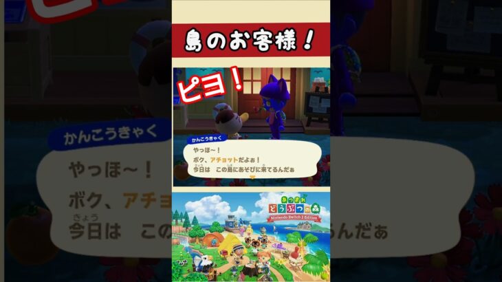 【#あつまれどうぶつの森 】アチョット【#あつ森 】