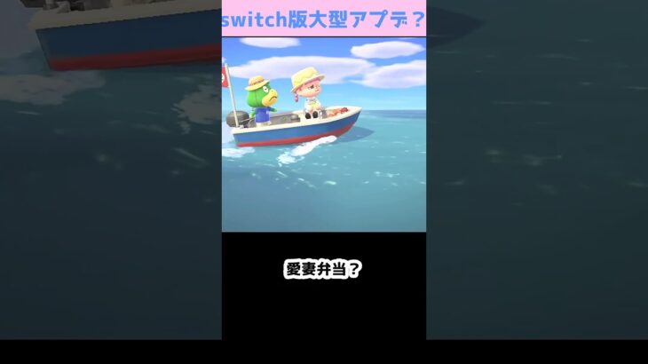 【あつ森】　カッペイの愛　　　　　　　　　　　　　　　　　　　　 #あつまれどうぶつの森