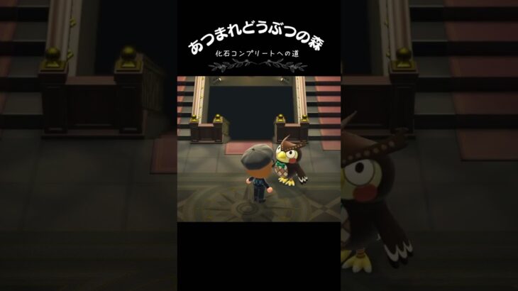 【あつ森】化石コンプリートへの道　#あつ森 #あつまれどうぶつの森