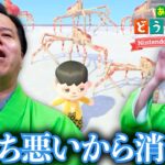 【あつ森】新しい島を作ろう！ 第五章 シン・新世界編【あつまれどうぶつの森】