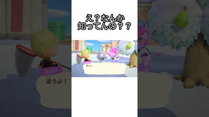 【あつ森】ある住民達に秘密があることを知ってしまったかもしれない