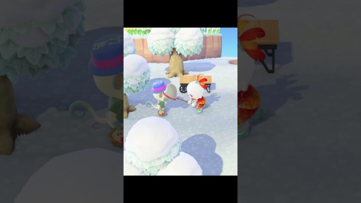 サルモンティボンバイエ #あつ森