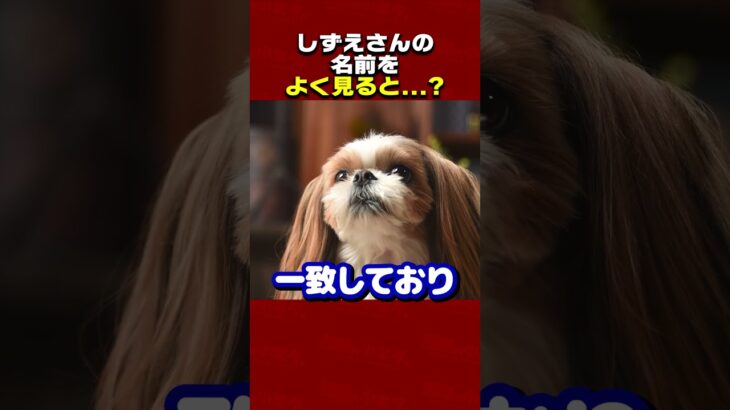 あつ森のしずえさんと弟のけんとの名前をよく見ると？