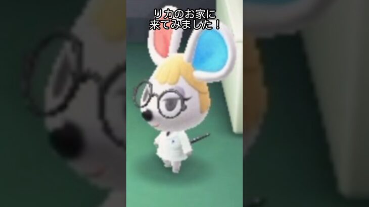 【あつ森】住民のお家に行ってみたら色々知れて面白かった