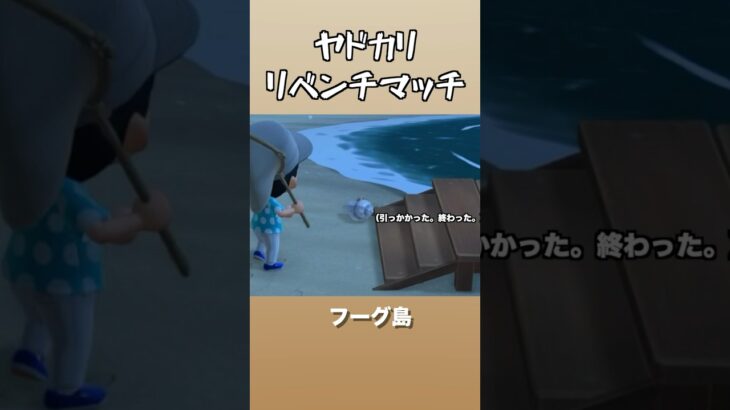 まさかの助けでヤドカリ捕獲！！　#あつ森 　#あつまれどうぶつの森