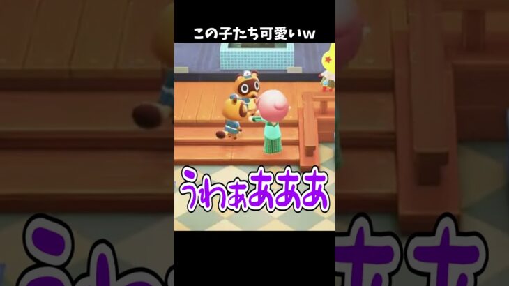 この子たち可愛いｗ #あつ森 #ききゆん 【嬉々桜ゆん】