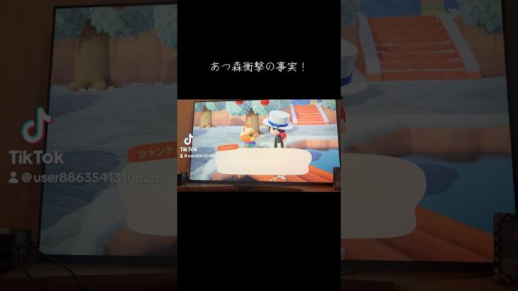 あつ森やったらまさかの！