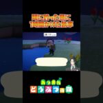 【あつ森】既に釣った魚に１時間かけた執事【切り抜き】