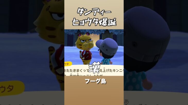 キリッとしたヒョウタ。　#あつ森 　#あつまれどうぶつの森