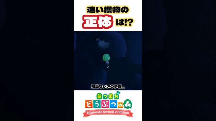 速すぎて追いつけない【あつ森】