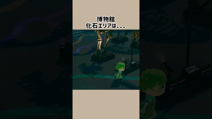 【あつ森】隠されたスポット⁉︎