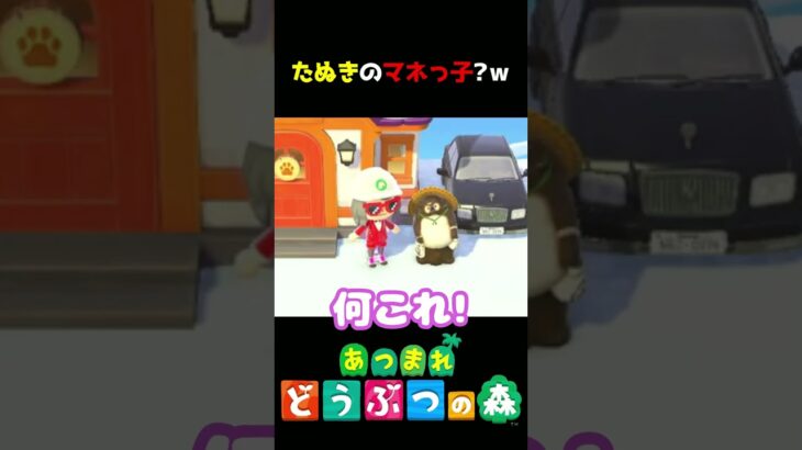 【あつ森】首を傾げる姿がキュート!!