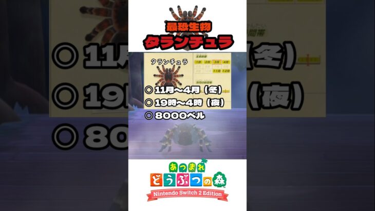 タランチュラマスターになりたい【あつ森】