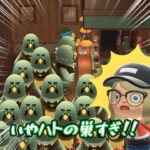 島の観光案内を頼もうとしたら…#あつ森 #あつ森アプデ