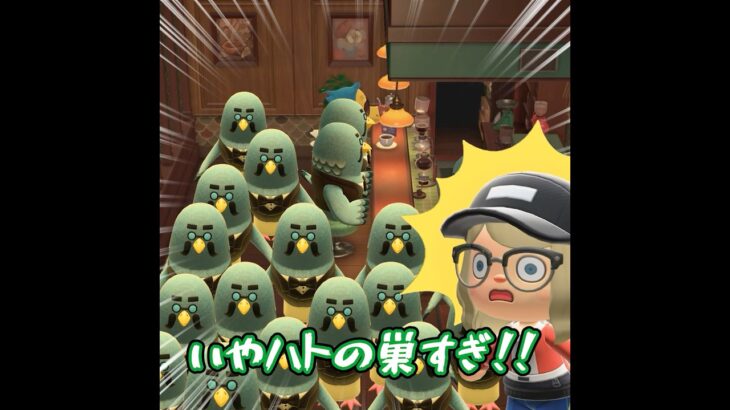 島の観光案内を頼もうとしたら…#あつ森 #あつ森アプデ