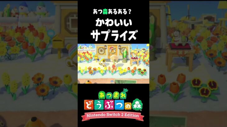 【あつ森】アプデ後増えた！かわいいサプライズ！