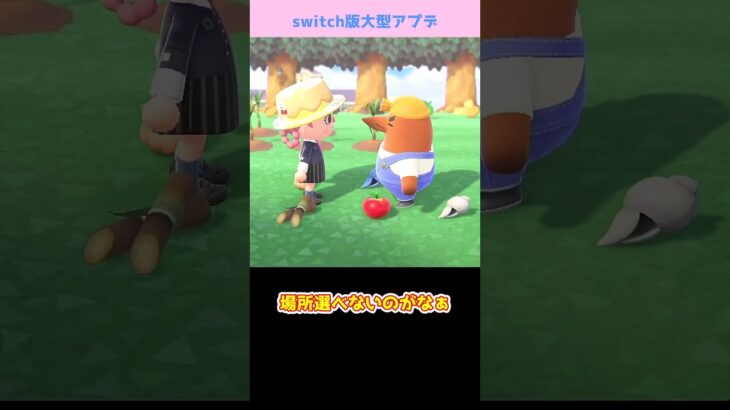 【あつ森】　アプデが来たんだから楽させて　　　　　　　　　　　　　　　　 #あつまれどうぶつの森