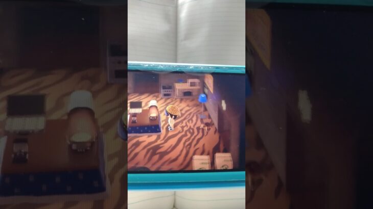 あつ森部屋紹介、おまけ川や海に入るバグ？！