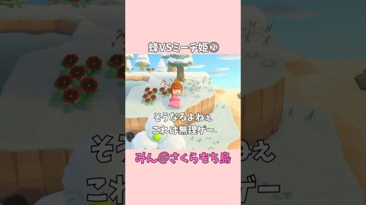 【あつ森】蜂、捕まえられなくてもいいから、無傷で逃げたい！