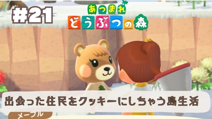 【あつ森】公園つくる！クッキー系配信者つるたんの０から島作り/あつまれどうぶつの森/ライブ配信