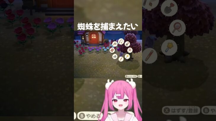 タランチュラを捕まえたい#あつ森