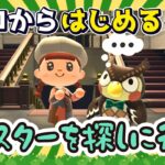 【あつ森】#３５ ゼロからはじめる｜マスターを探しに行く！【第４の島】