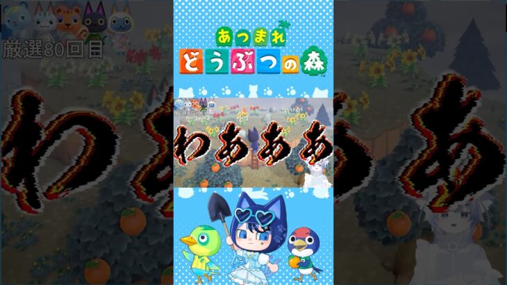 【切り抜き】可愛い猫にツンデレしてしまう…【#あつ森 】