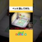 思わぬ形でインコとお別れするメープルｗｗ【あつ森】